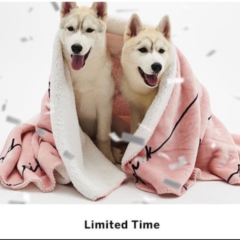 Victoria’s Secret Pink Sherpa Blanket